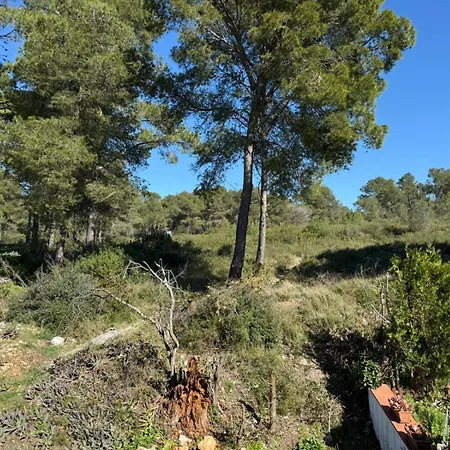 Tatil Evi Mont Mar 88 *